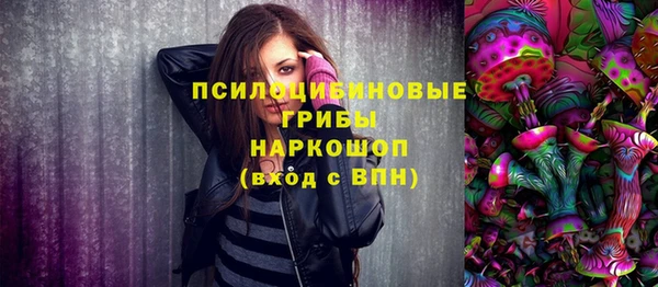 индика Нефтегорск