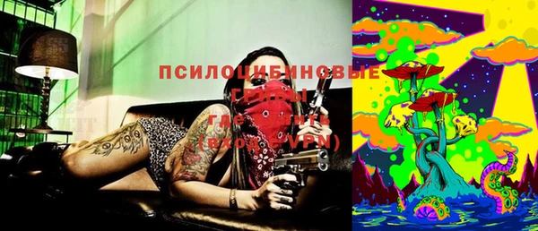 индика Нефтегорск
