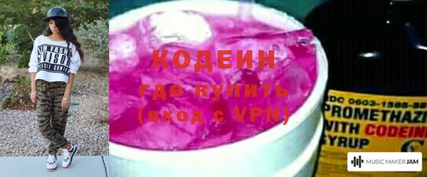 индика Нефтегорск