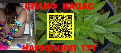 шишки Пугачёв