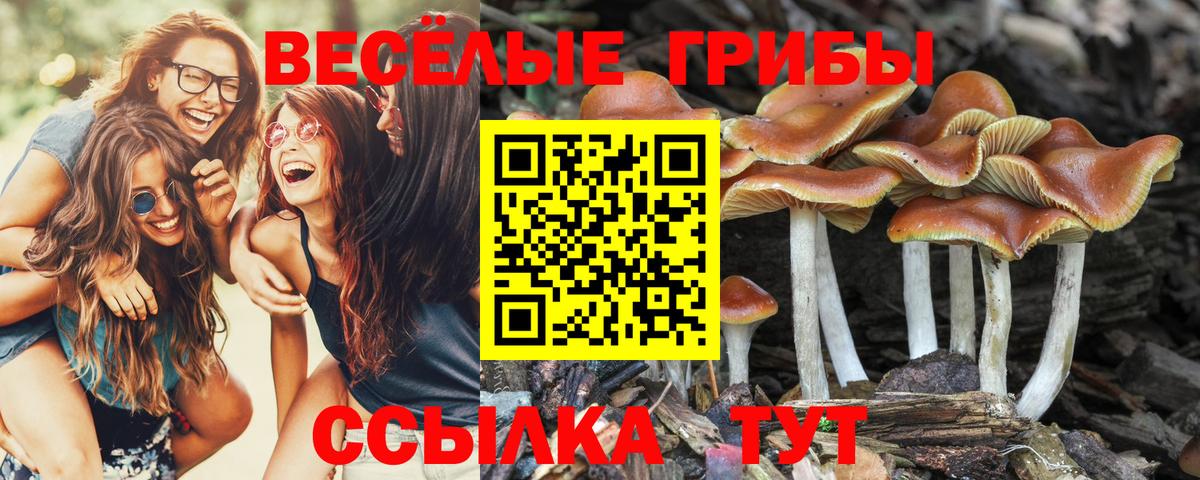Сызрань  Псилоцибиновые грибы ЛСД  Вход с VPN 